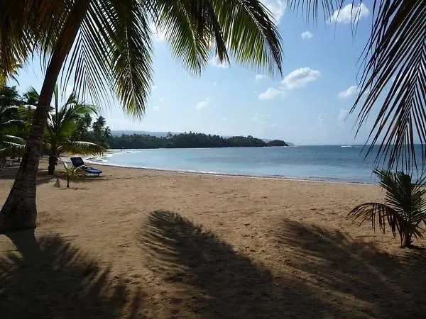 House Jardin Del Caribe Aparthotel Las Terrenas