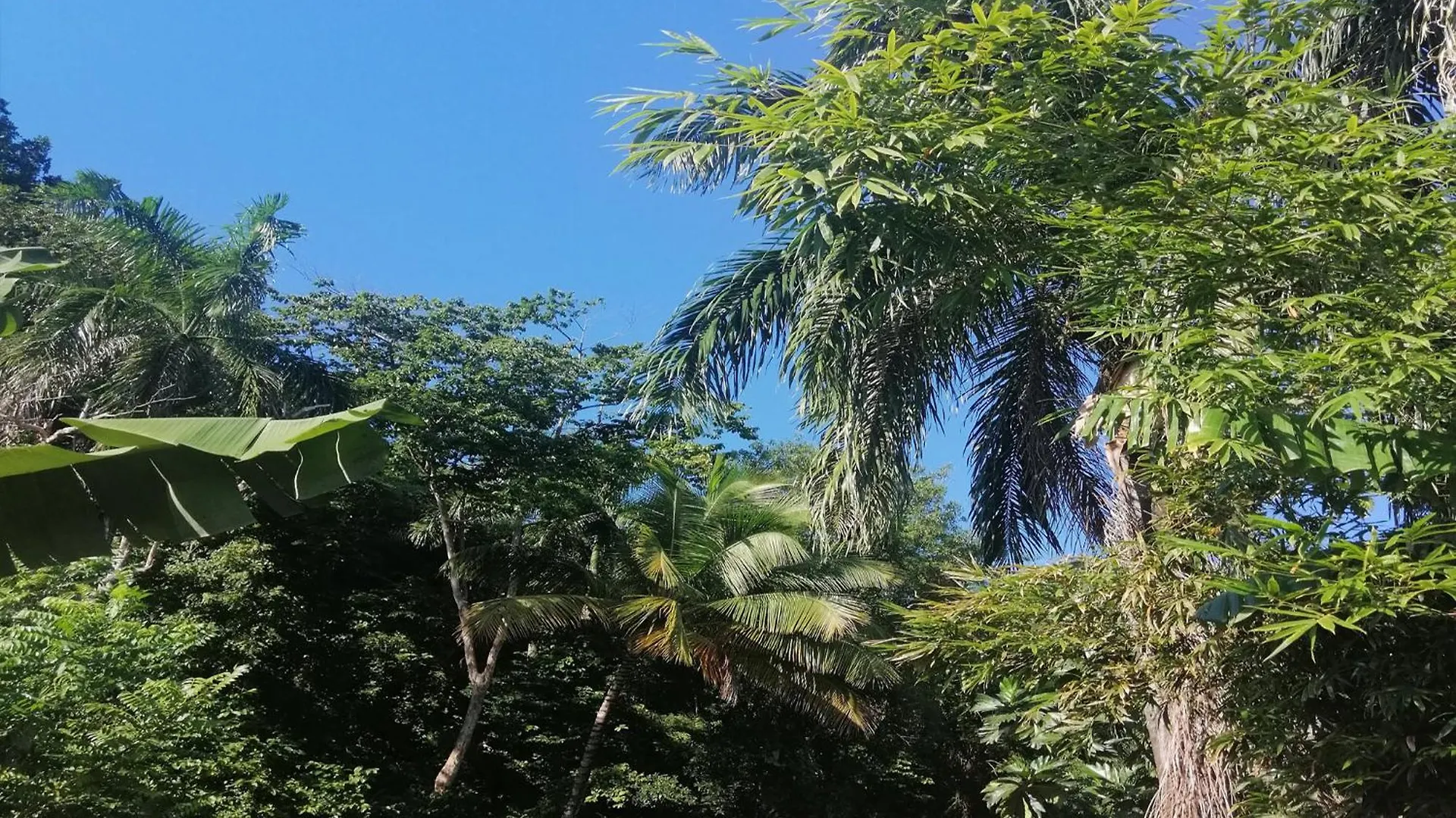 House Jardin Del Caribe Aparthotel Las Terrenas